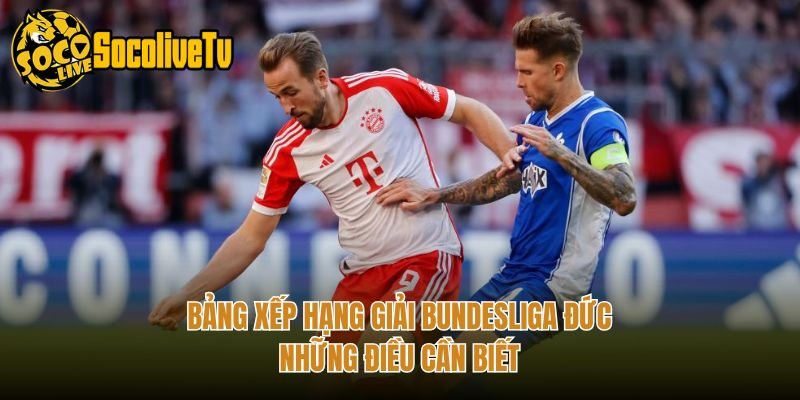 Bảng Xếp Hạng Giải Bundesliga Đức – Những Điều Cần Biết